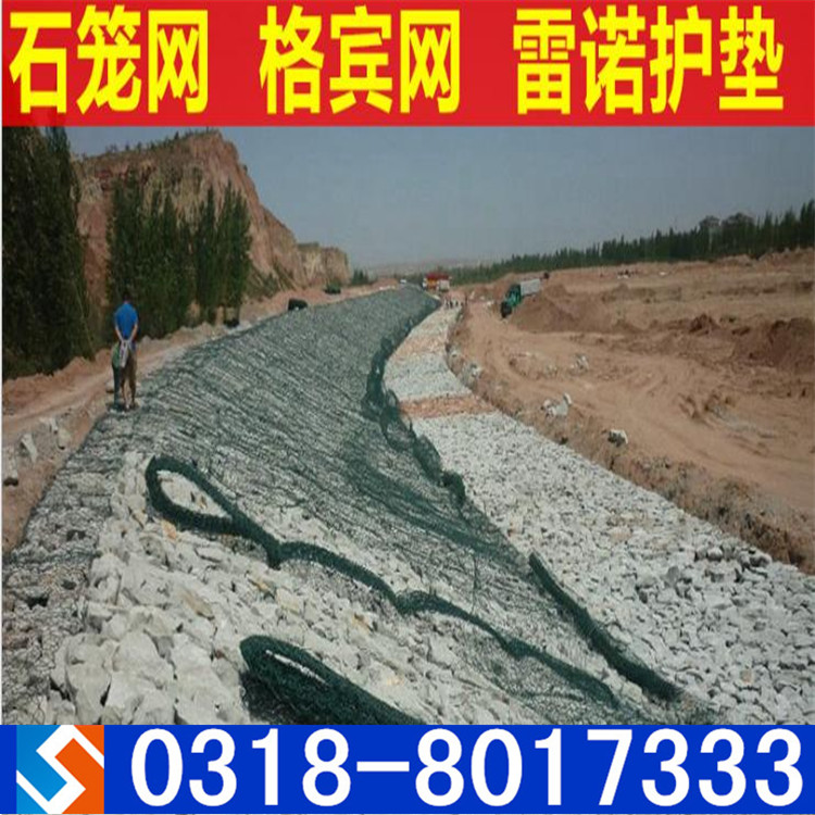生態格網 生態格網